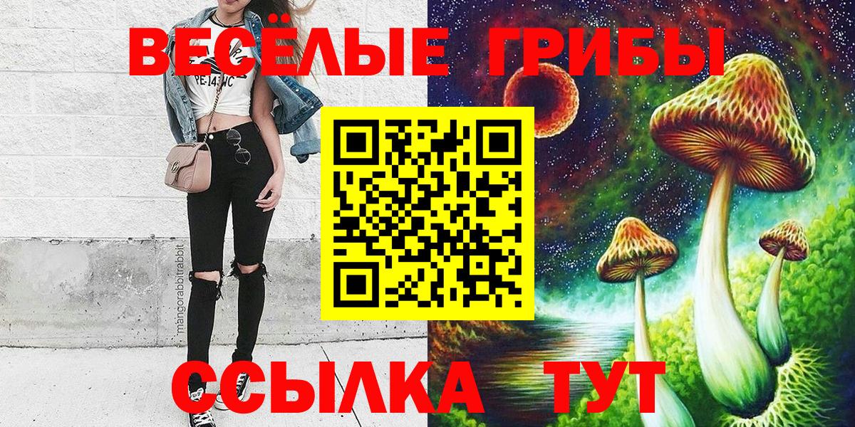 Галлюциногенные грибы Psilocybine cubensis Кингисепп