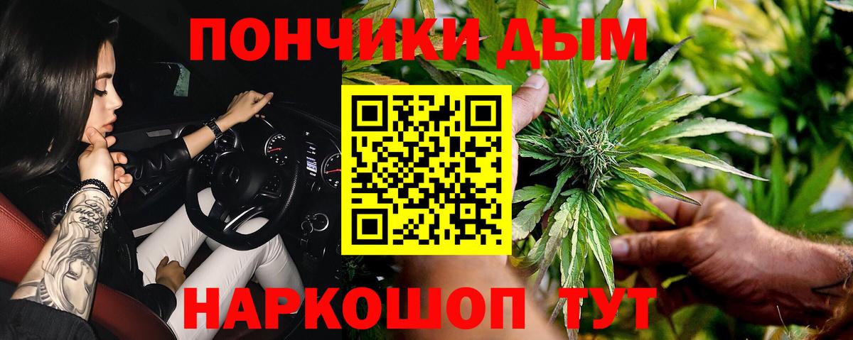 Кингисепп  Каннабис тримм  Шишки марихуана AK-47  Каннабис семена  Канабис план  Вход с VPN 
